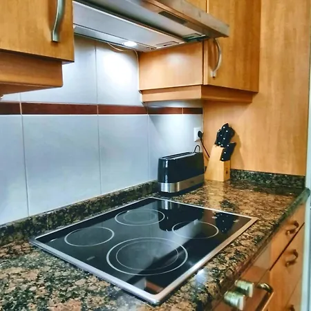Fluvial Vut-5384-as 3hab-2banos-ascensor-parking Coche Grande Gratis-wifi Gijon